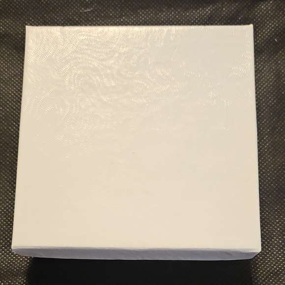 Dainty Dangle Brushed Silver Earrings in Gift Box - Picture 6 of 6